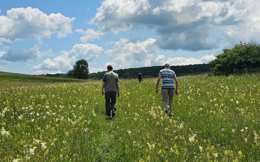 Proiect inovator de restaurare ecologică la Sighișoara