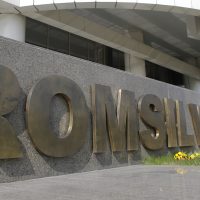 Ministra Mediului Elimină Bonusurile de Lux pentru Angajații Romsilva și Reformează Acordarea Lemnelor de Foc